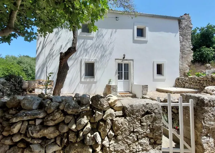 House Belej - Lola