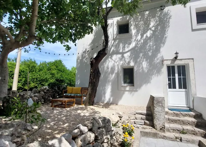 House Belej - Lola